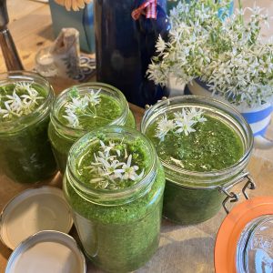 Wild Garlic Pesto (Sold Out....Till next spring)